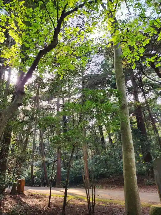 鹿島神宮(茨城県)