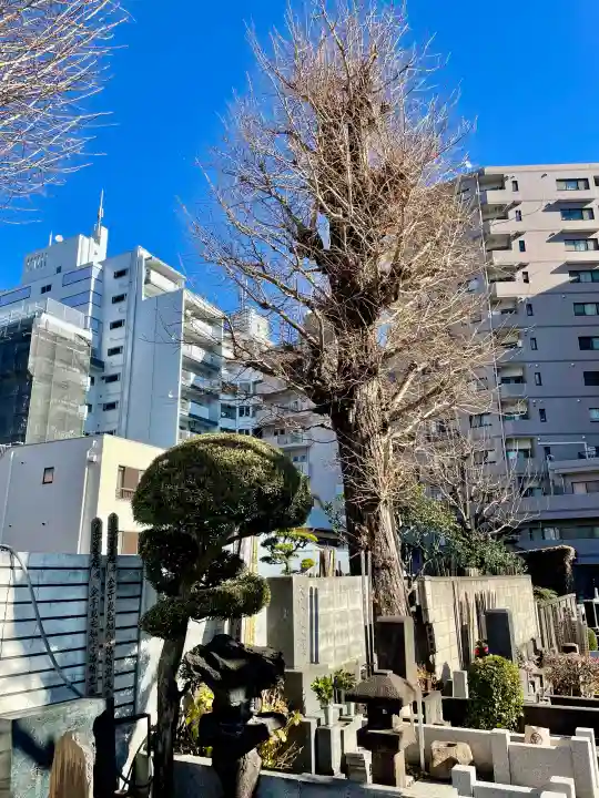 常楽寺の{uncategorized: "未分類", other: "その他", undefined: "問題あり", building: "その他建物", grave: "お墓", sacred_gate: "鳥居", guardian: "狛犬", statue: "像", buddha: "仏像", history: "歴史", nature: "自然", garden: "庭園", animal: "動物", pagoda: "塔", temizu: "手水舎", mountain_gate: "山門・神門", sanctuary: "本殿・本堂", subordinate: "末社・摂社", art: "芸術", scenery: "景色", jizo: "地蔵", ema: "絵馬", goshuin: "御朱印", omikuji: "おみくじ", items: "授与品その他", amulet: "お守り", goshuincho: "御朱印帳", eats: "食事", festival: "お祭り", votive_dance: "神楽", shichigosan: "七五三参", wedding: "結婚式", experience: "体験その他", initially: "初詣", around: "周辺", anti_infection: "感染症対策"}
