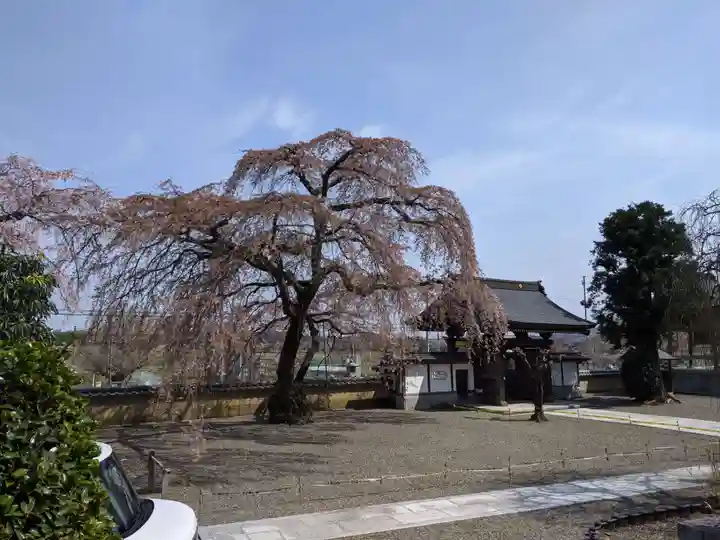 圓通寺(円通寺)のその他建物