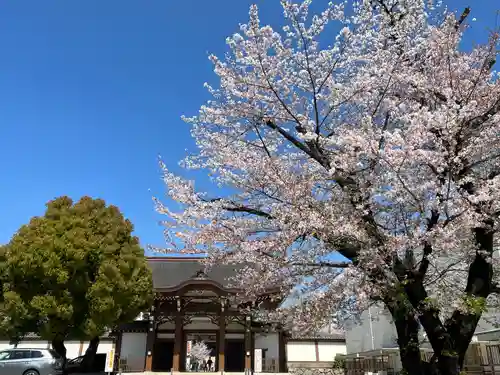 真宗大谷派名古屋別院(愛知県)