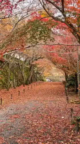 三千院門跡(京都府)