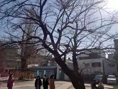今戸神社のその他建物
