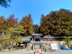 櫻山八幡宮の建物その他