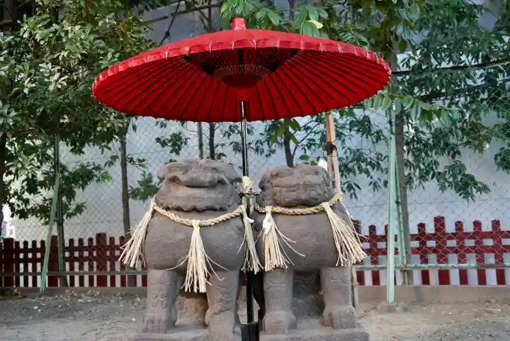 浅草神社の狛犬