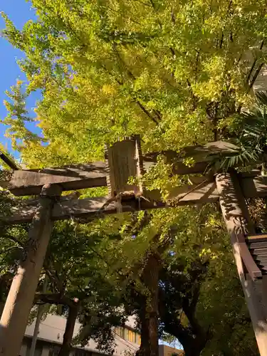 氷川神社(東京都)