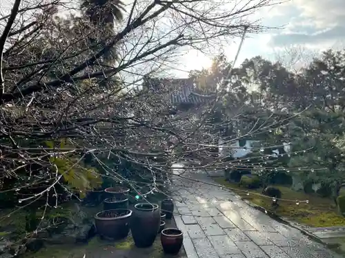伊勢の国 四天王寺(三重県)