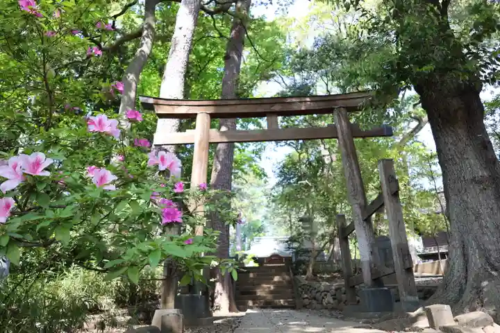 熊野神社(東京都)