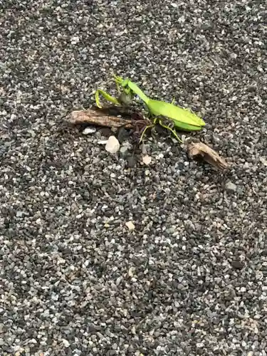 白山神社(福井県)