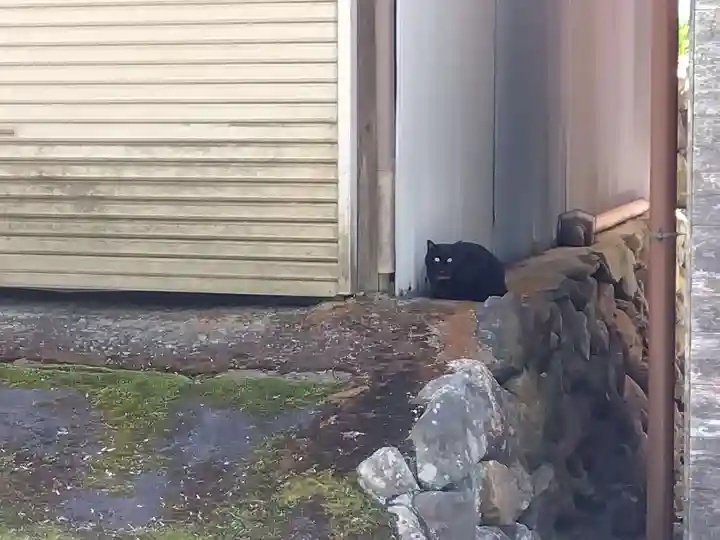 春日神社(京都府)