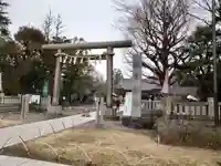 浅草神社の鳥居