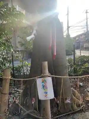 伊和志津神社(兵庫県)