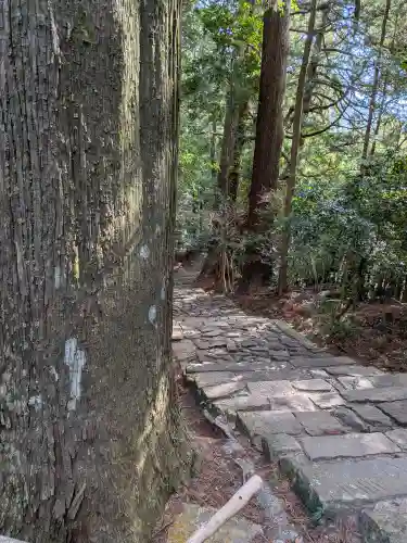 熊野那智大社(和歌山県)
