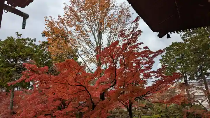 真正極楽寺(真如堂)(京都府)