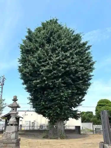 香取神社(埼玉県)