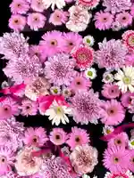 金峯神社(新潟県)