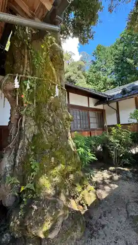 住吉神社(大阪府)