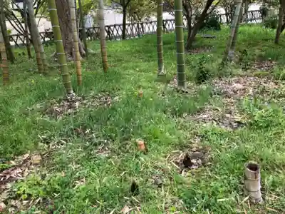 埴生護國八幡宮の自然