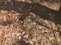 御嶽山神社(奥宮)(栃木県)