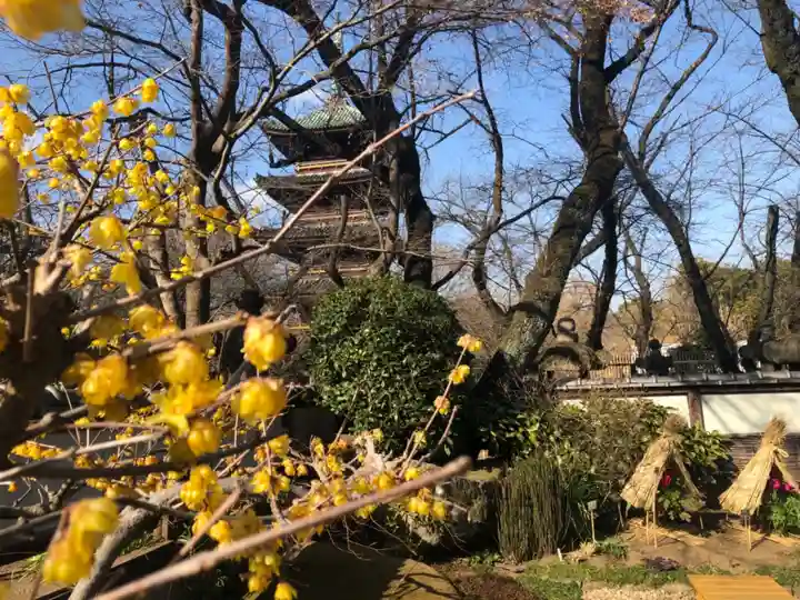 上野東照宮のその他建物