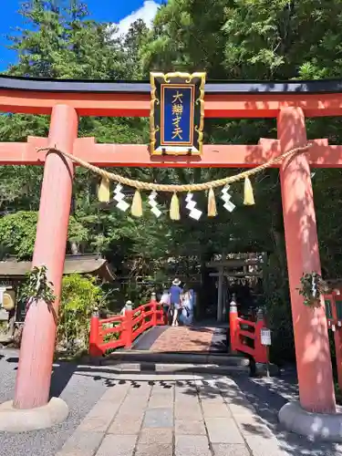 天河大辨財天社の鳥居