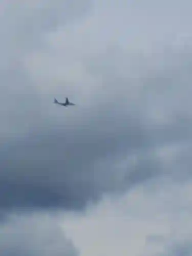 東本願寺本廟 牛久浄苑（牛久大仏）(茨城県)