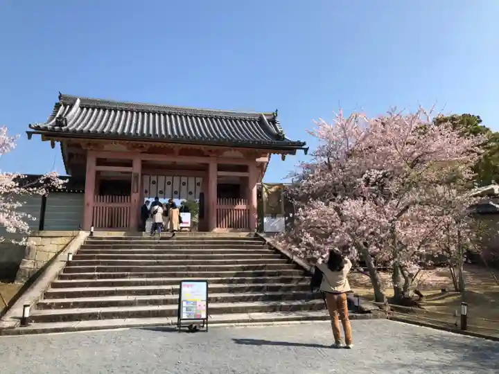 仁和寺の山門・神門