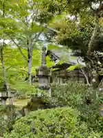 西明寺の塔