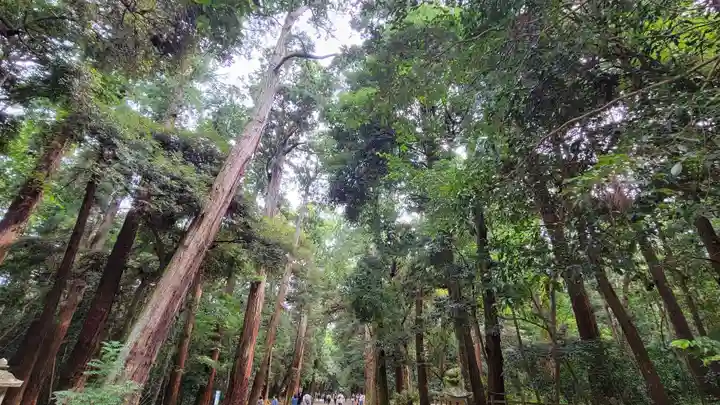 鹿島神宮の自然