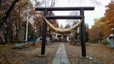 愛國神社の鳥居