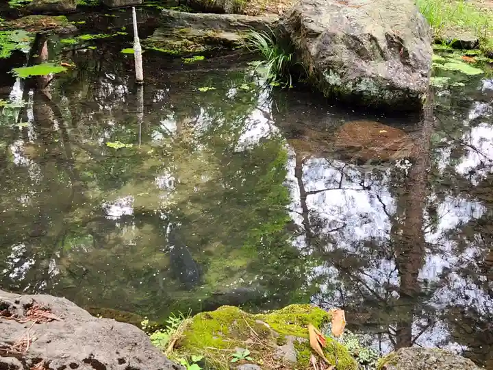 愛宕神社(秋田県)