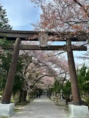 冨士御室浅間神社(山梨県)