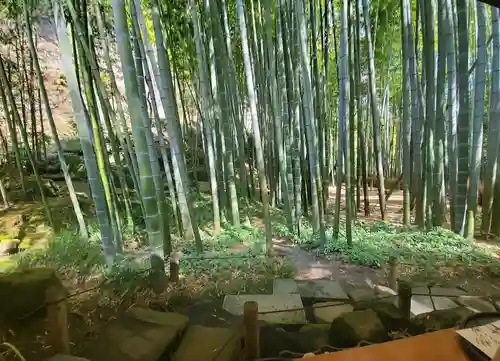 報国寺の庭園