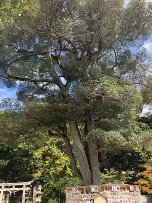 阿智神社(岡山県)
