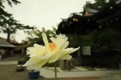 行田八幡神社の自然