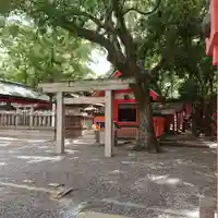 若宮八幡宮(住吉大社 摂社)(大阪府)