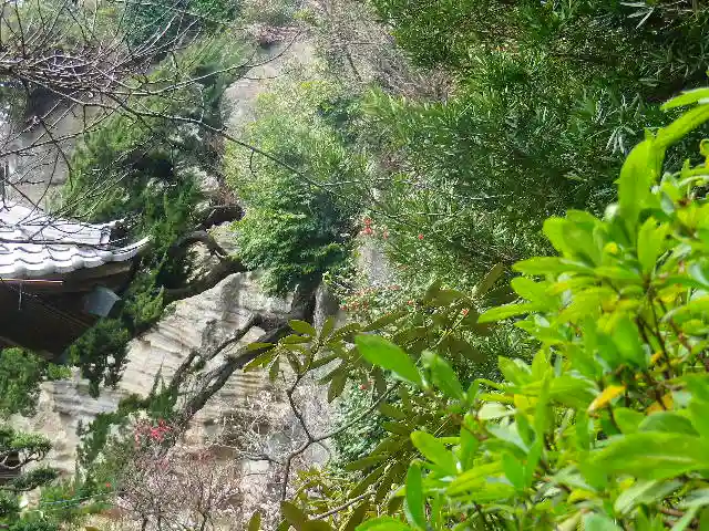 浄光明寺の自然