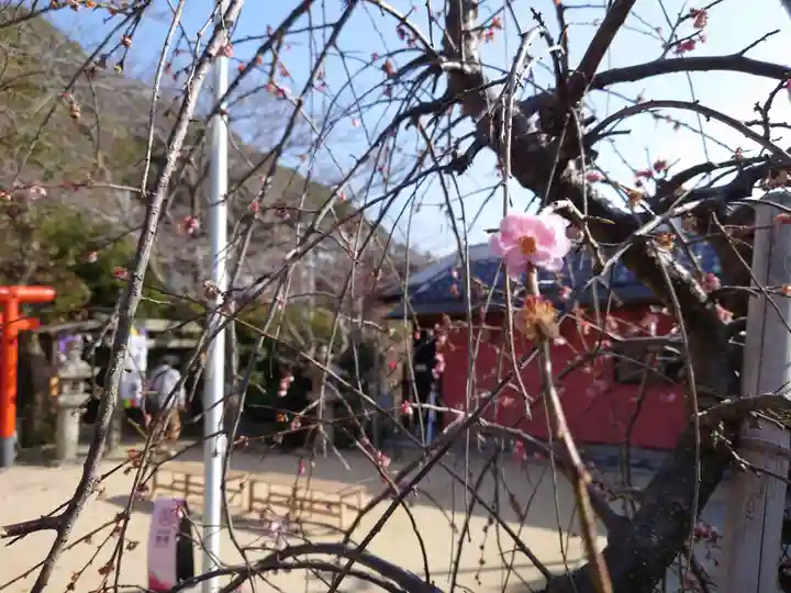 北野天満神社(兵庫県)