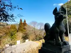 狭上稲荷神社の狛犬