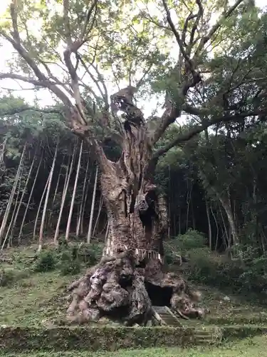 武雄神社(佐賀県)