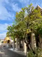 福王山 慈眼寺(東京都)