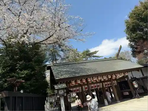 櫻木神社(千葉県)