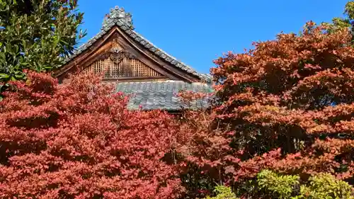 勧修寺(京都府)