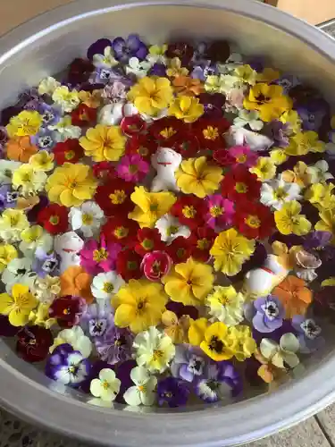 御井神社の手水舎