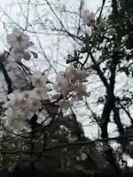 猿江神社の{uncategorized: "未分類", other: "その他", undefined: "問題あり", building: "その他建物", grave: "お墓", sacred_gate: "鳥居", guardian: "狛犬", statue: "像", buddha: "仏像", history: "歴史", nature: "自然", garden: "庭園", animal: "動物", pagoda: "塔", temizu: "手水舎", mountain_gate: "山門・神門", sanctuary: "本殿・本堂", subordinate: "末社・摂社", art: "芸術", scenery: "景色", jizo: "地蔵", ema: "絵馬", goshuin: "御朱印", omikuji: "おみくじ", items: "授与品その他", amulet: "お守り", goshuincho: "御朱印帳", eats: "食事", festival: "お祭り", votive_dance: "神楽", shichigosan: "七五三参", wedding: "結婚式", experience: "体験その他", initially: "初詣", around: "周辺", anti_infection: "感染症対策"}