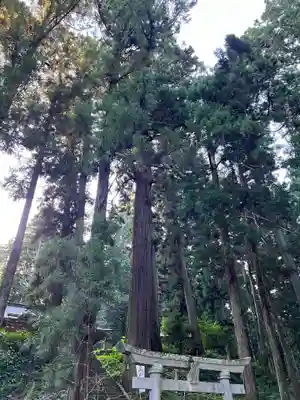大宮温泉神社(栃木県)
