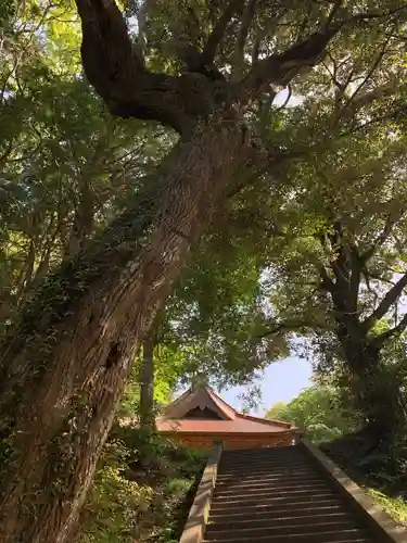 高谷神社の自然