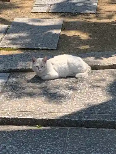菅原神社の動物