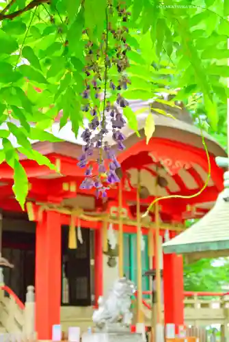 戸部杉山神社(神奈川県)