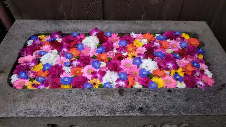 菅生神社(愛知県)