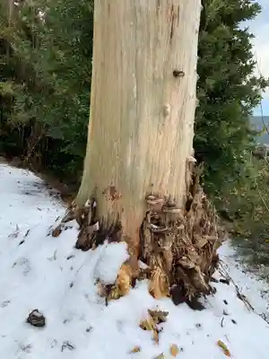 八雲神社(千葉県)